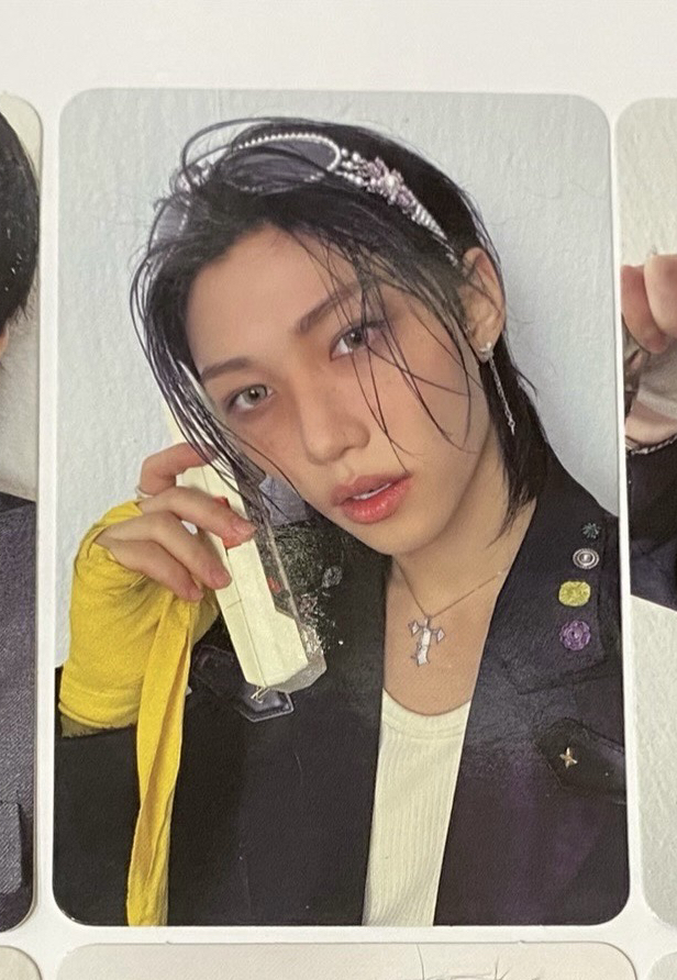 燦娃全專（豬兔ID+菲道具卡+寅拿娃卡）