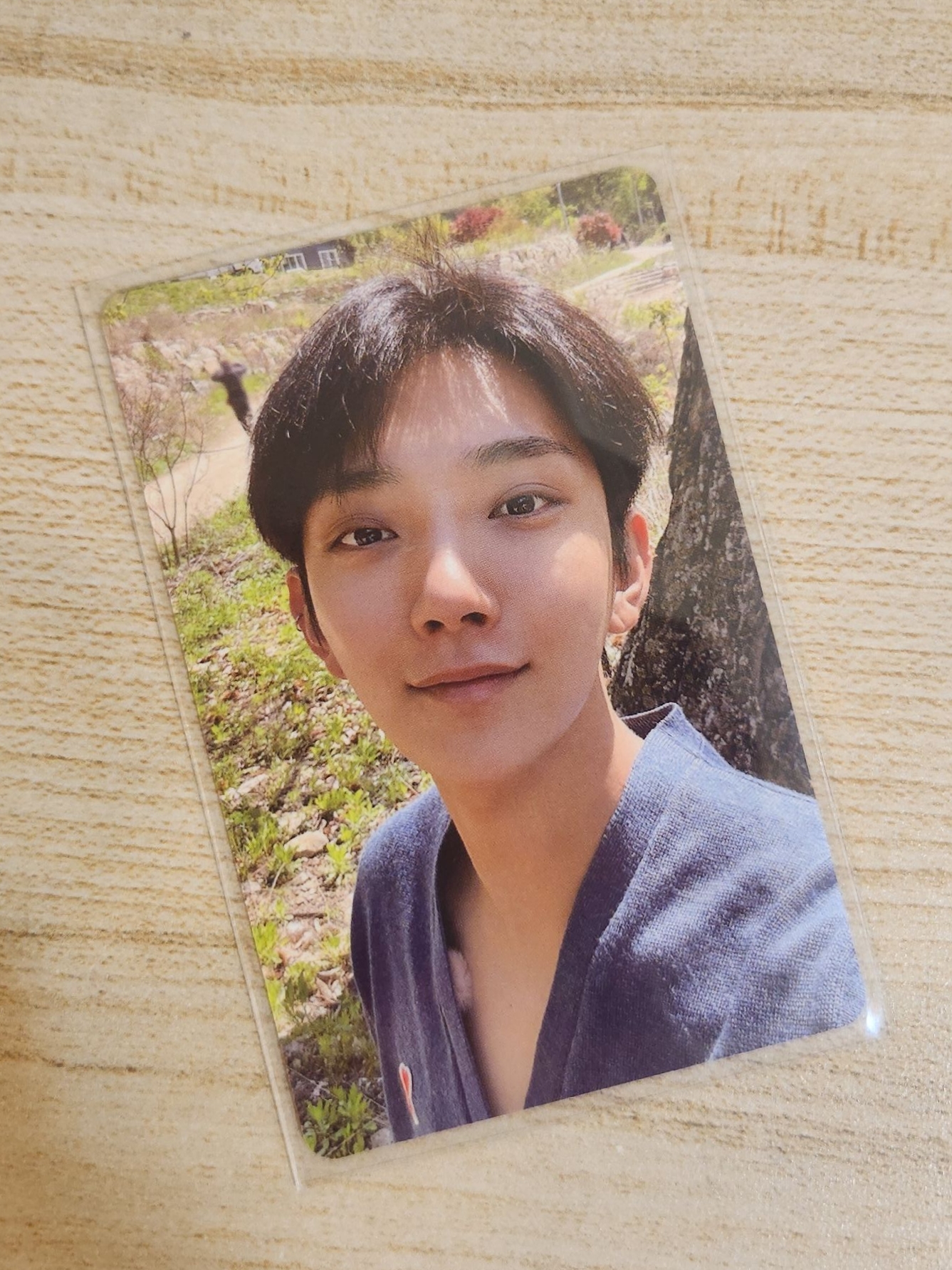 Joshua 洪知秀 in the soop 1.0 小卡