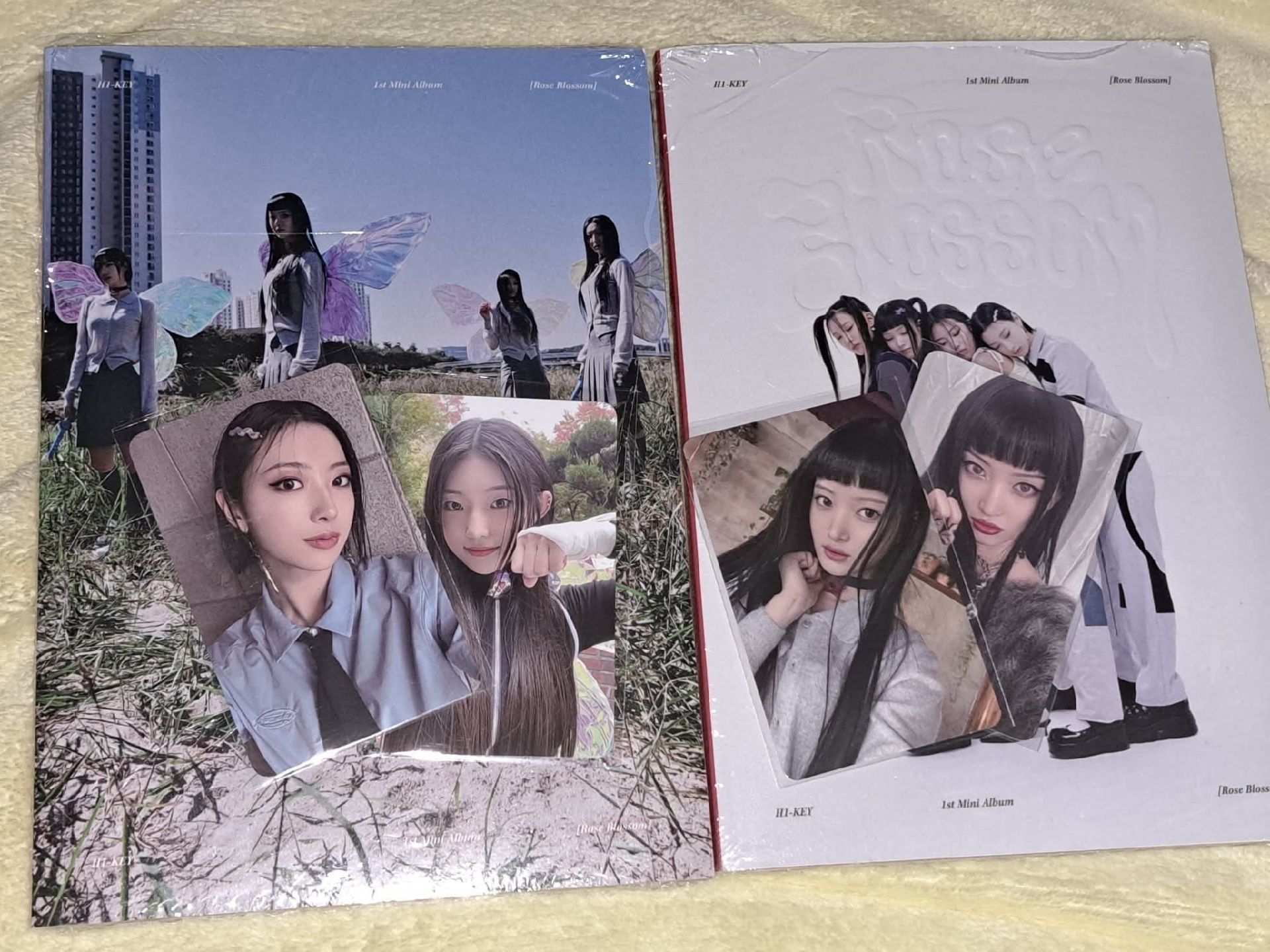 H1-KEY Rose Blossom 全專