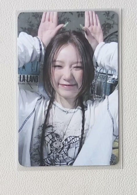 兔耳刷小盤 4000