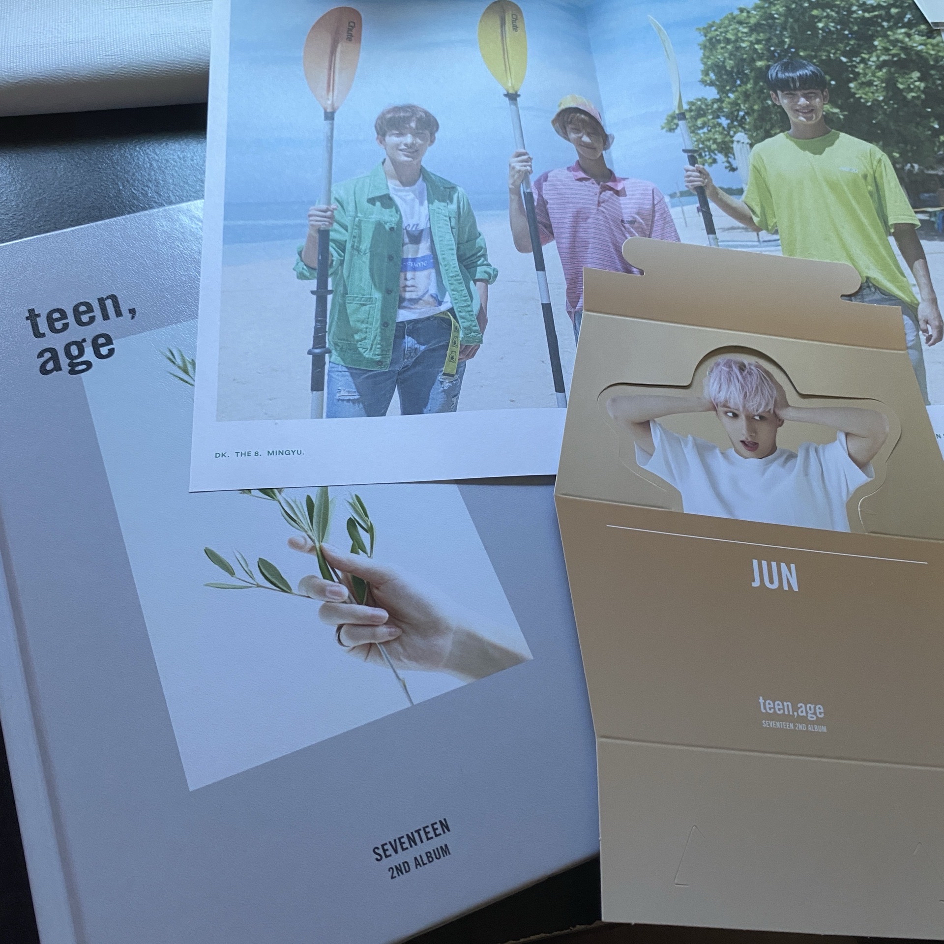 ⭐️SVT 正二白版空專✨