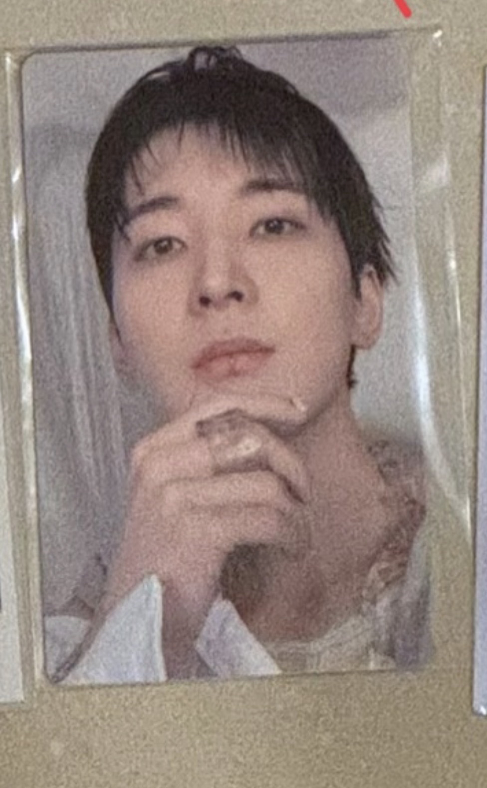 圓佑 正五 wvs特典卡