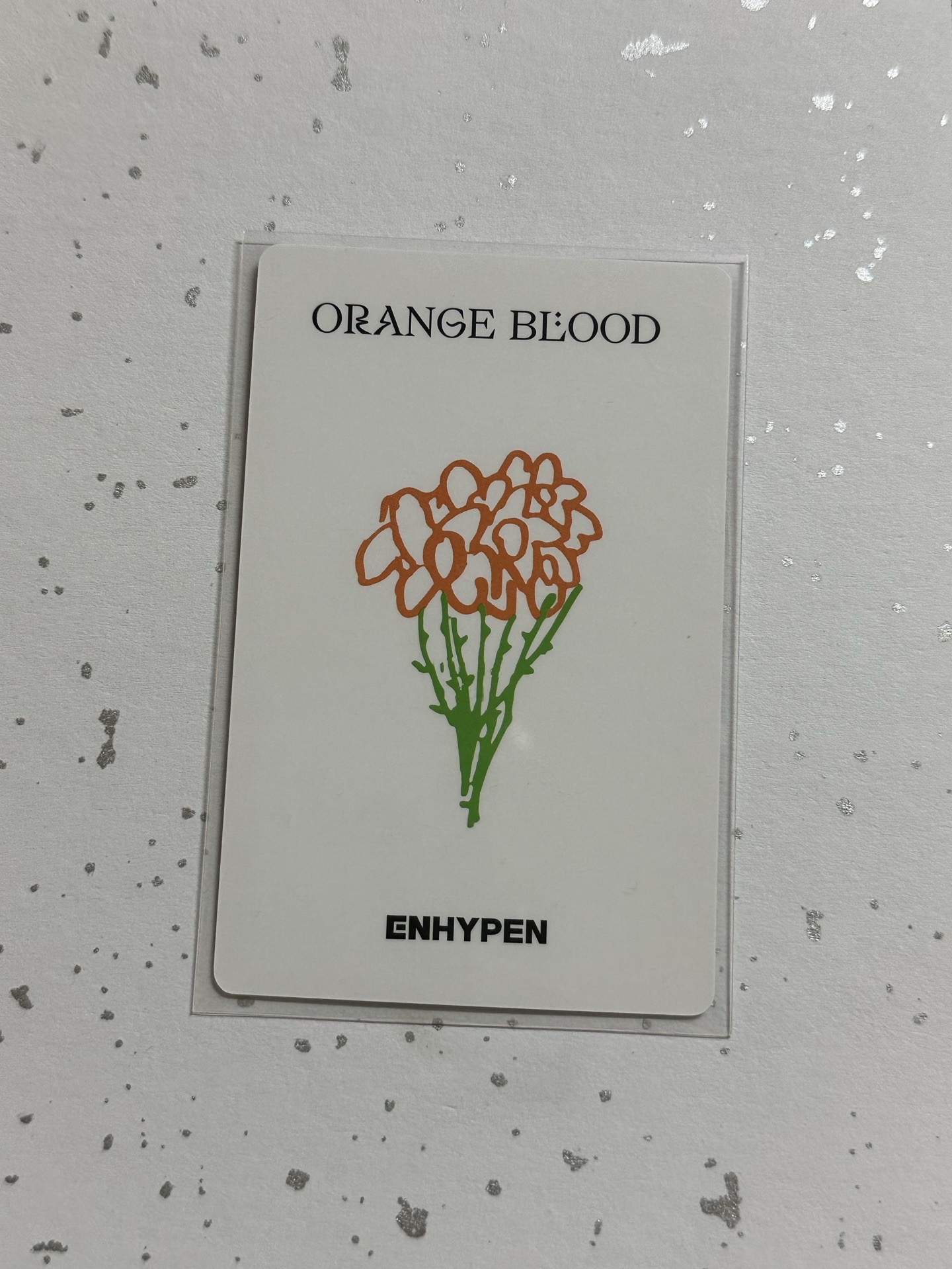 ENHYPEN 羲承 迷五一直娛簽售卡 青島線下簽售手繪卡