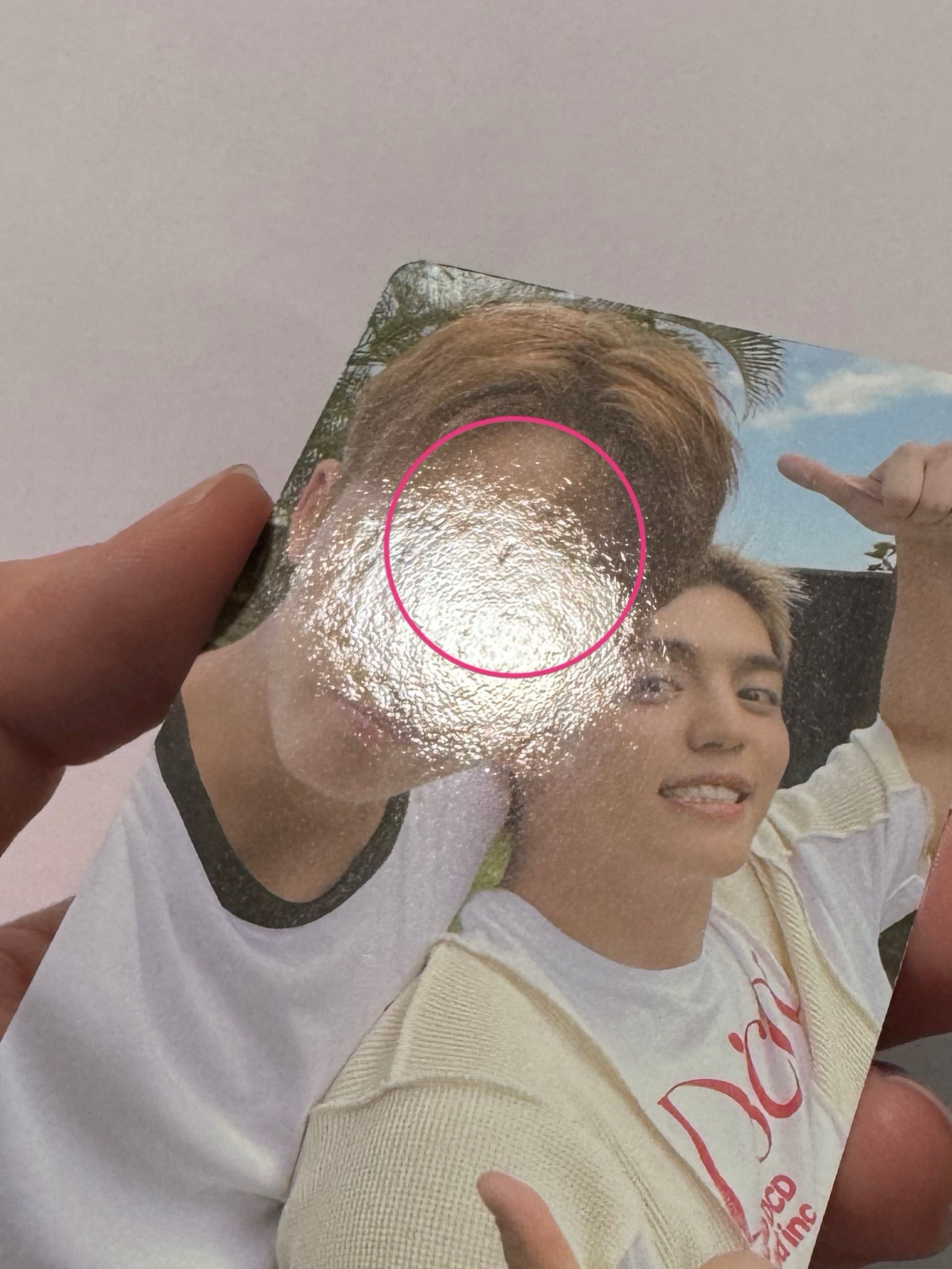 CxM wvs預售特典 一套