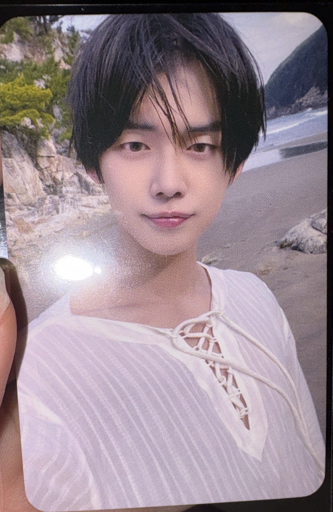 楠藝1.0
