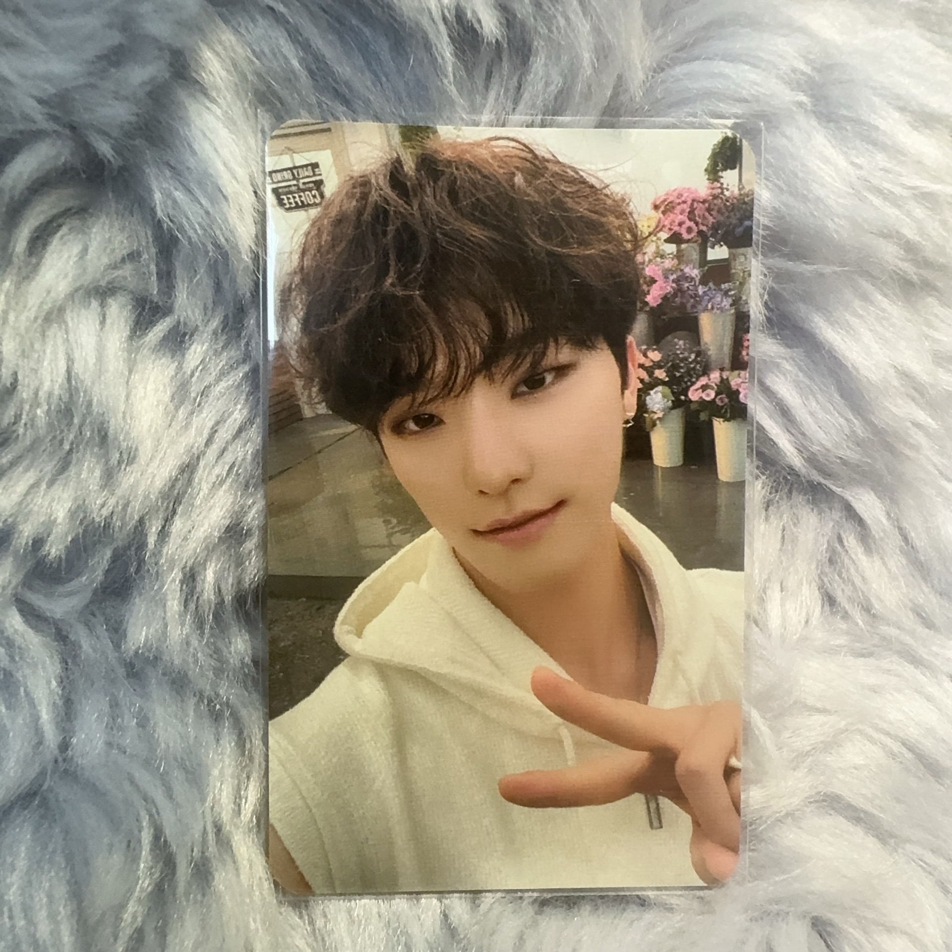 Seventeen SECTOR 17 幸運卡 Dino