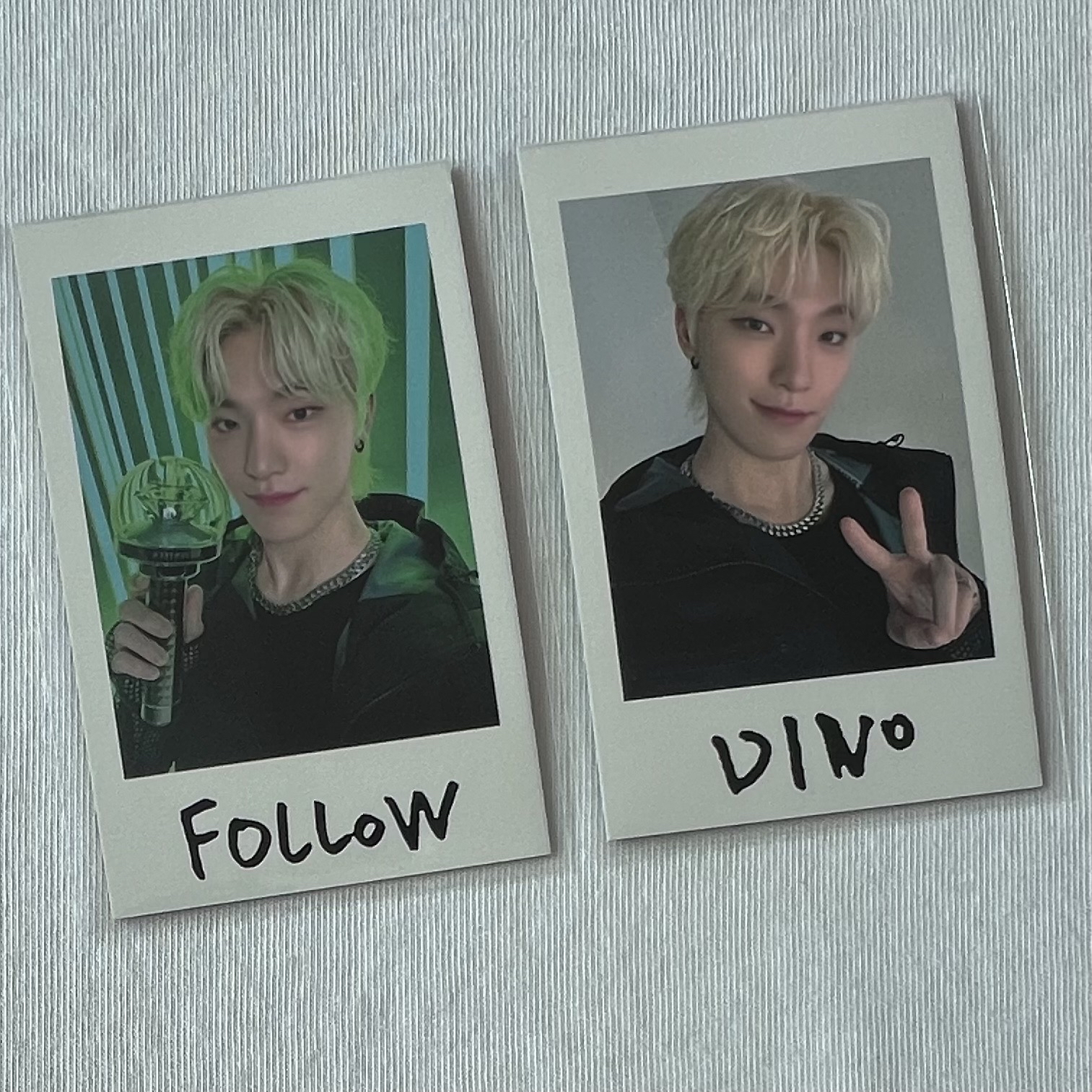 拍立得貼紙 DINO 燦 Follow to Japan 