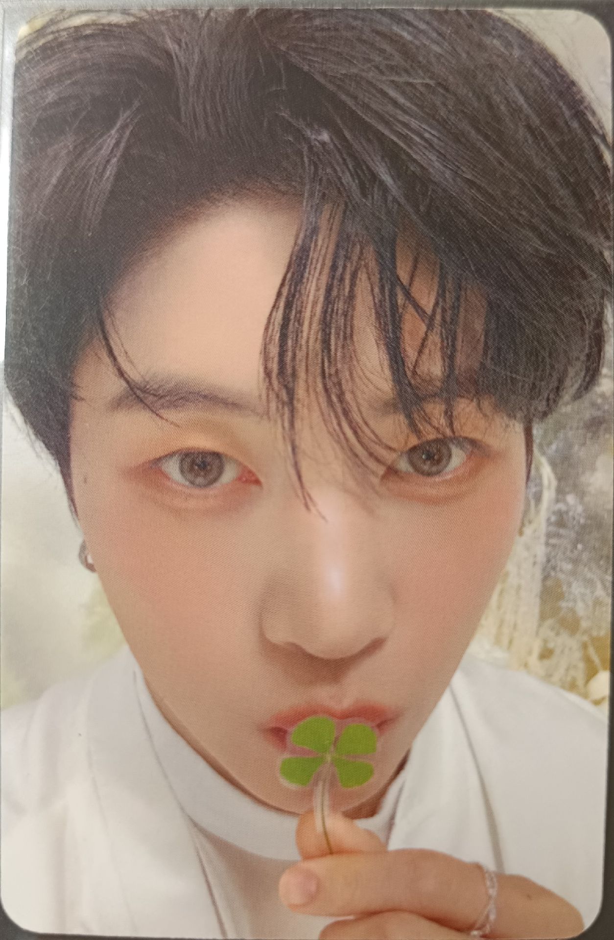 迷五 sr 特典卡 四葉草 修