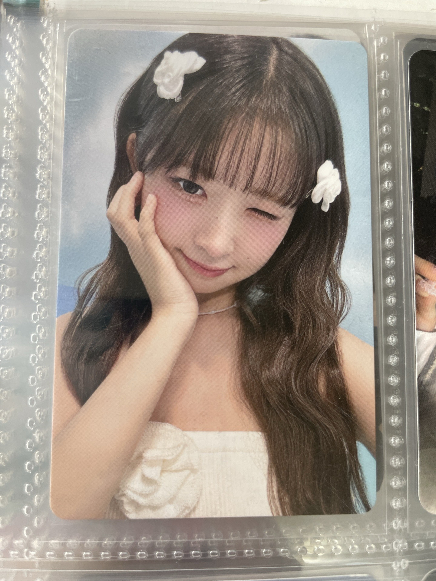 怜特典