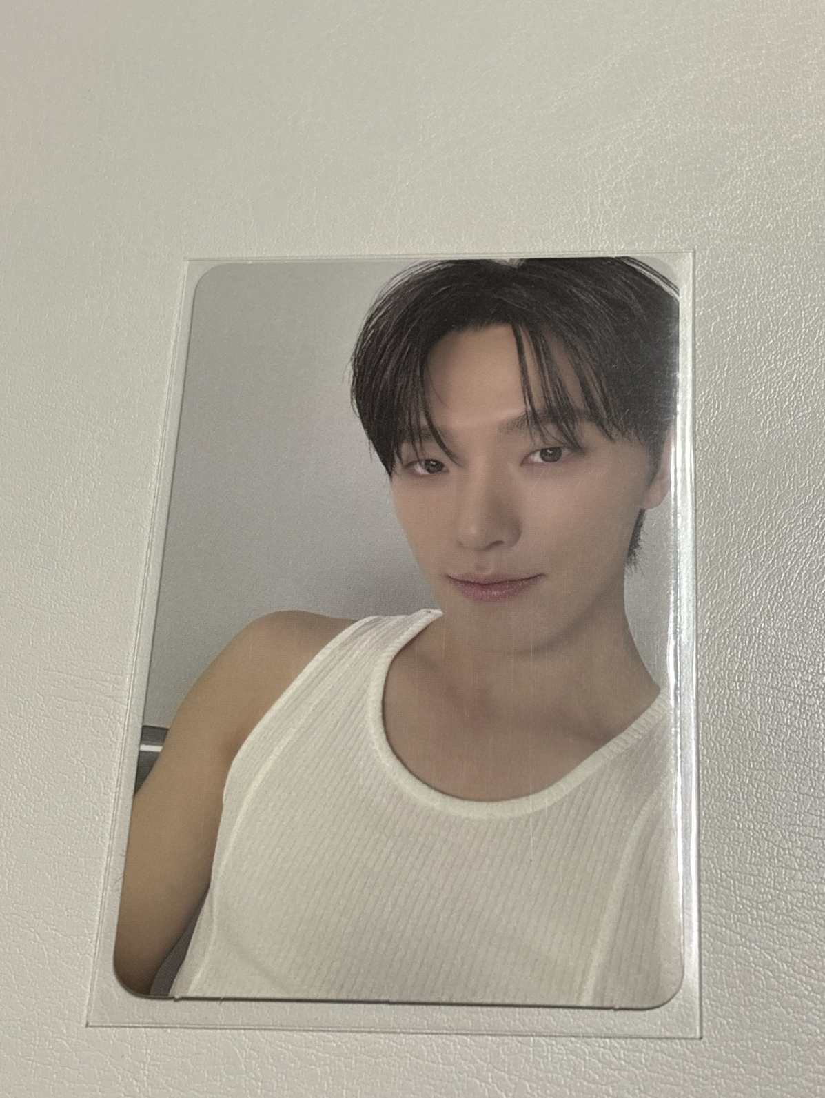 DINO 親愛盤專卡