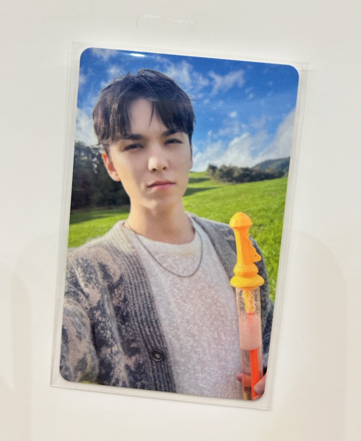 Vernon