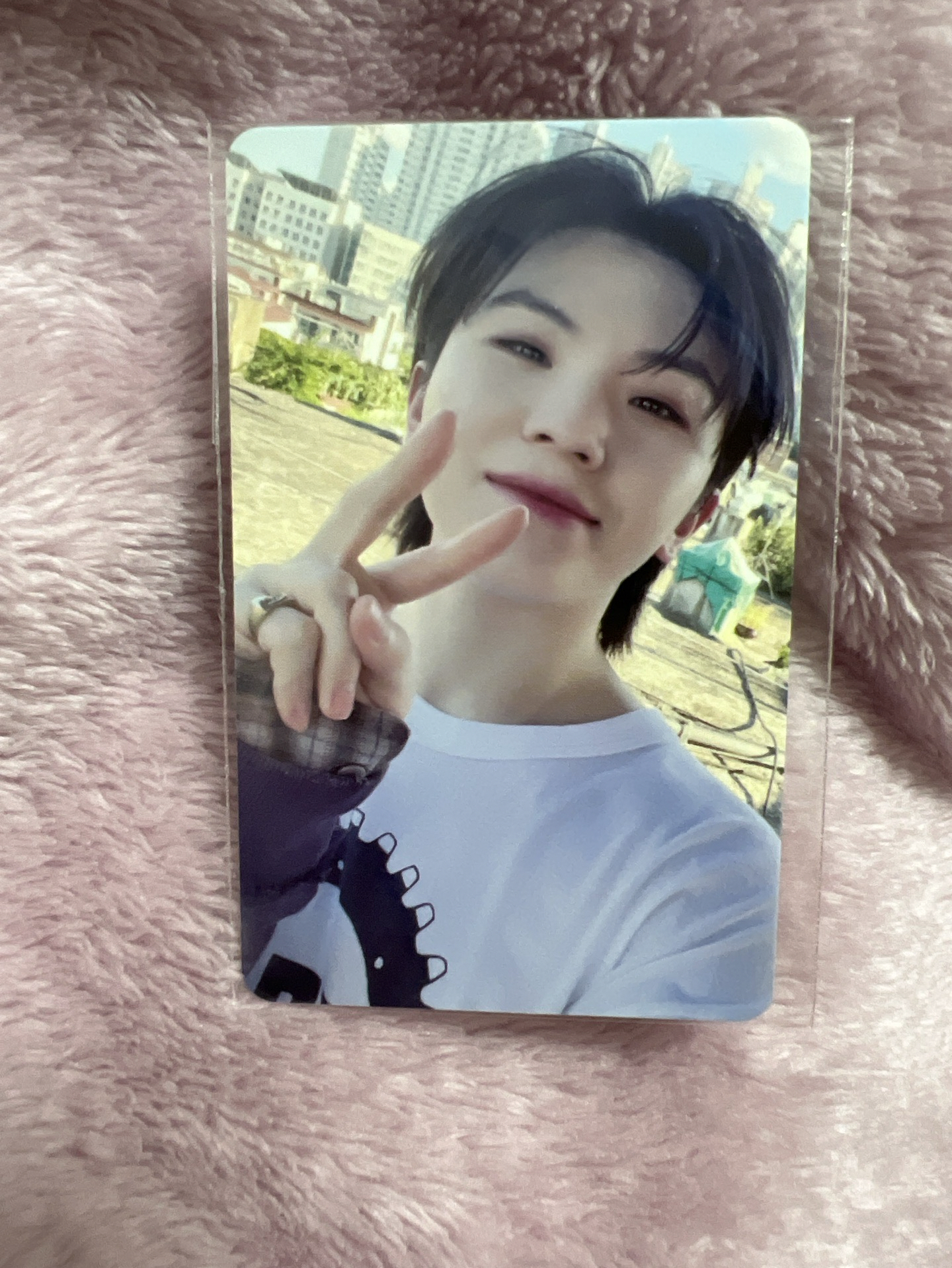 勳 教保文庫 白版 