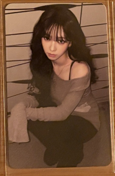 首爾場週隨機卡柚