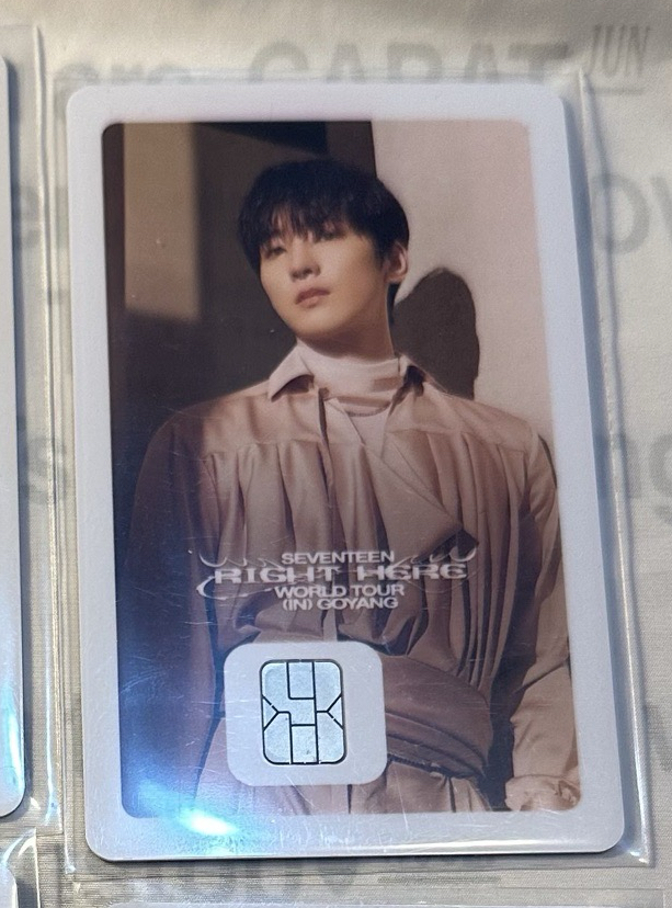 圓 交通卡 SEVENTEEN RIGHT HERE in Goyang