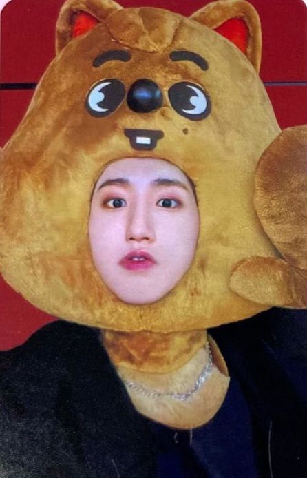 MAXIDENT 韓知城 jyp闊卡大頭