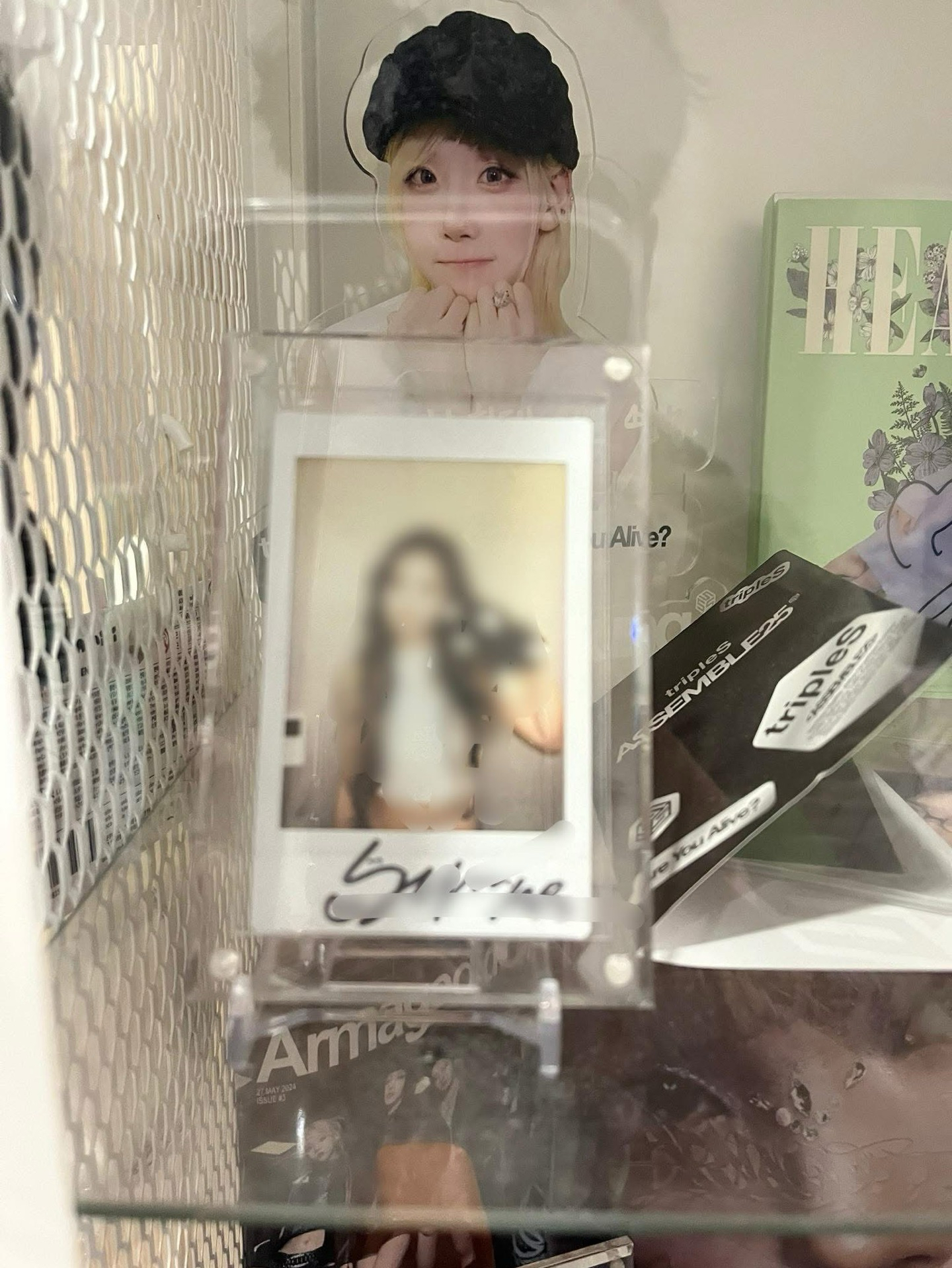 薛侖鼴鼠 親簽未公開拍立得