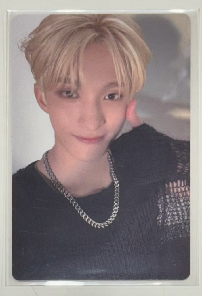 SEVENTEEN 迷12 SPILL THE FEELS WVS  WEVERSE簽售特典小卡 碩珉DK