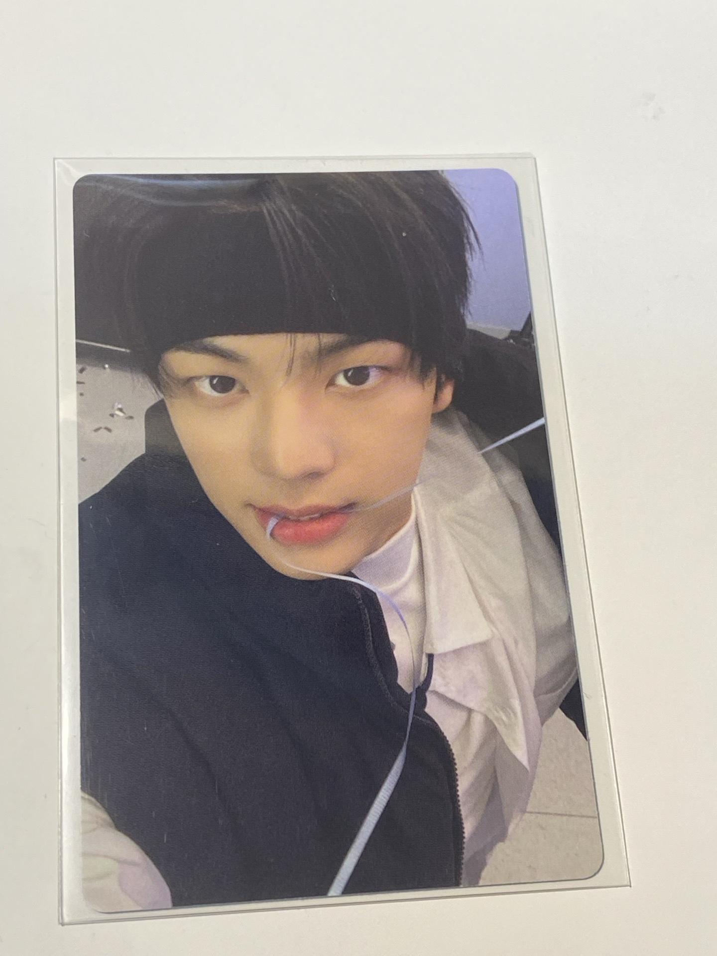 last bell wvs 特典卡