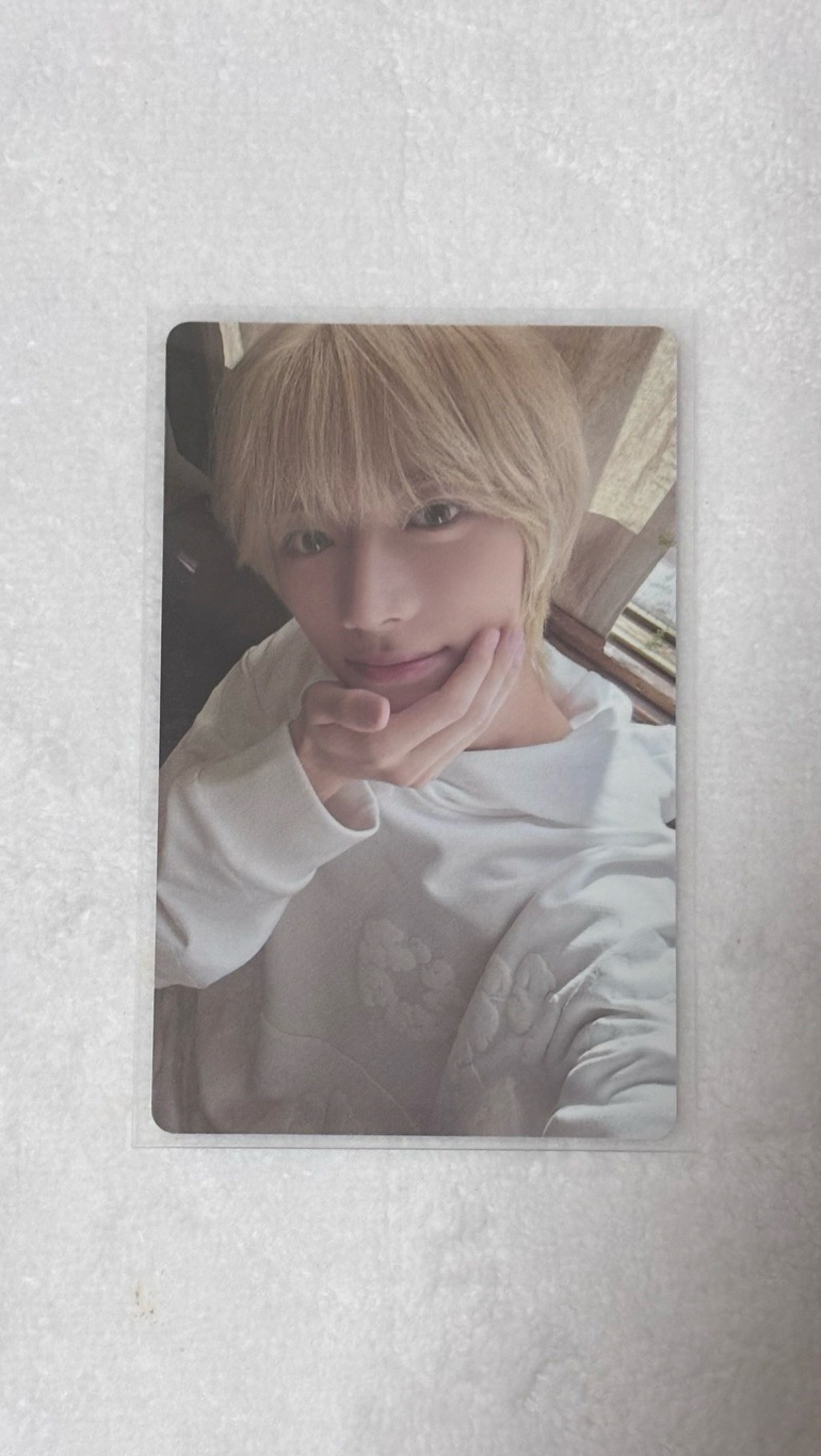 txt 圭 單封阿貢包特典