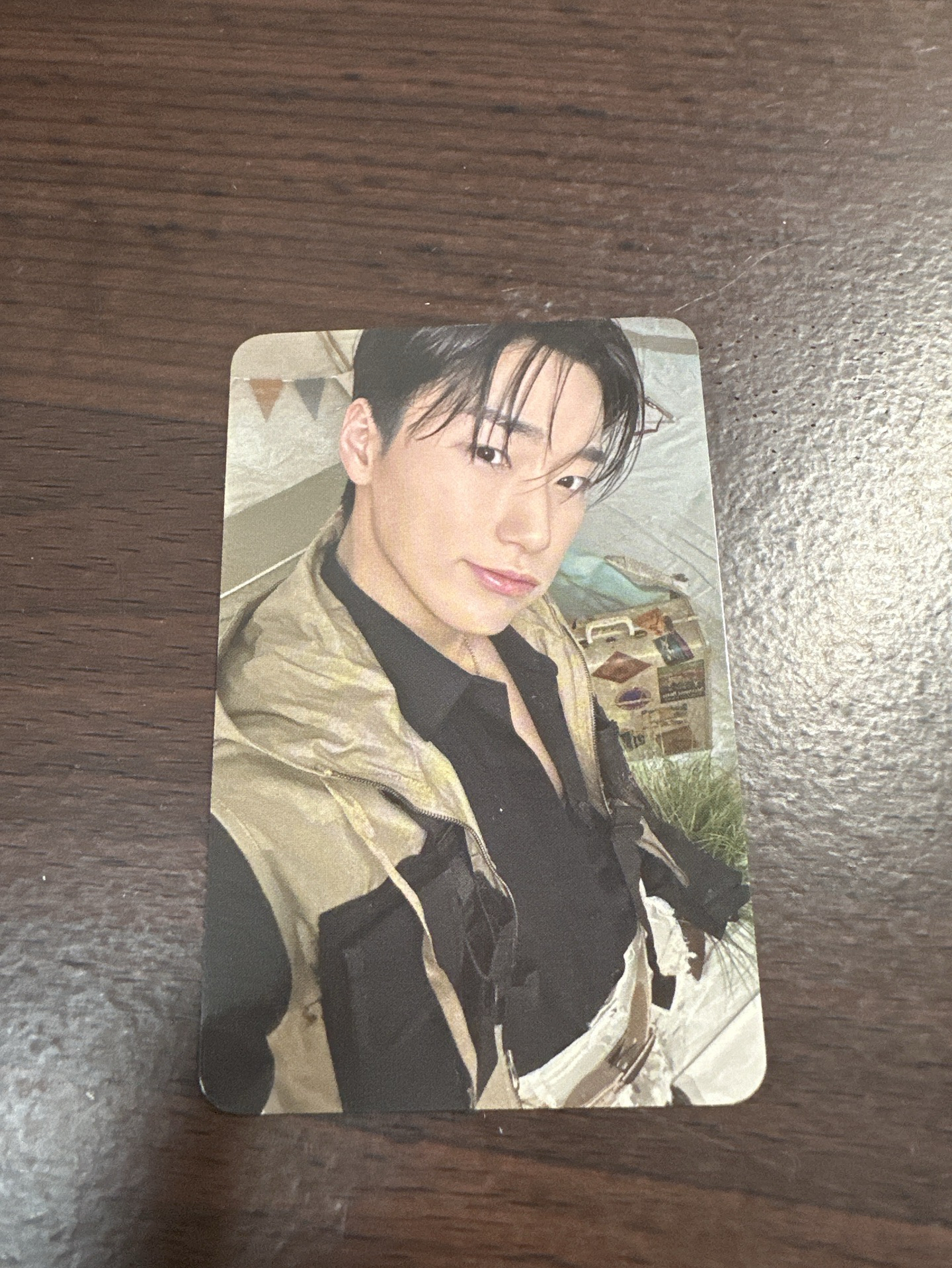 ANITEEZ IN TREASURE 隨機卡 