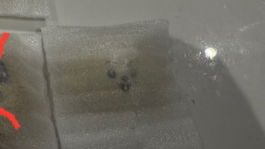 MINITEEN 磁鐵 - 碩