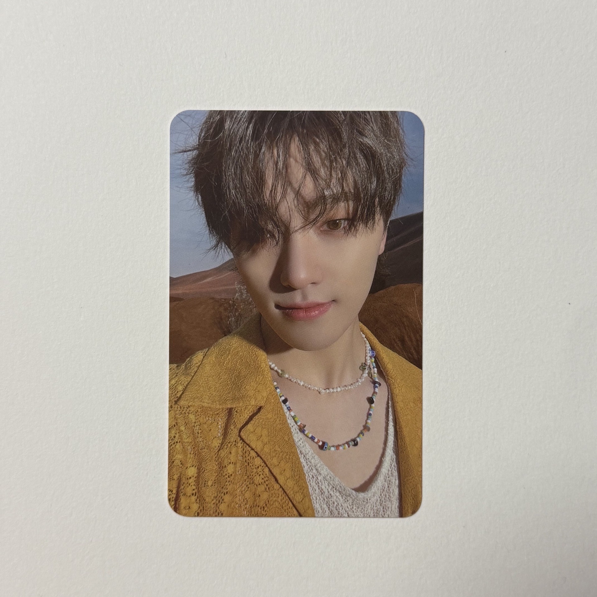 🦦DINO 正四 wvs WVS/YES24 簽售卡 