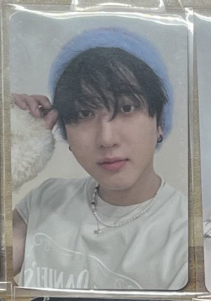 ate專卡 毛茸茸 彬