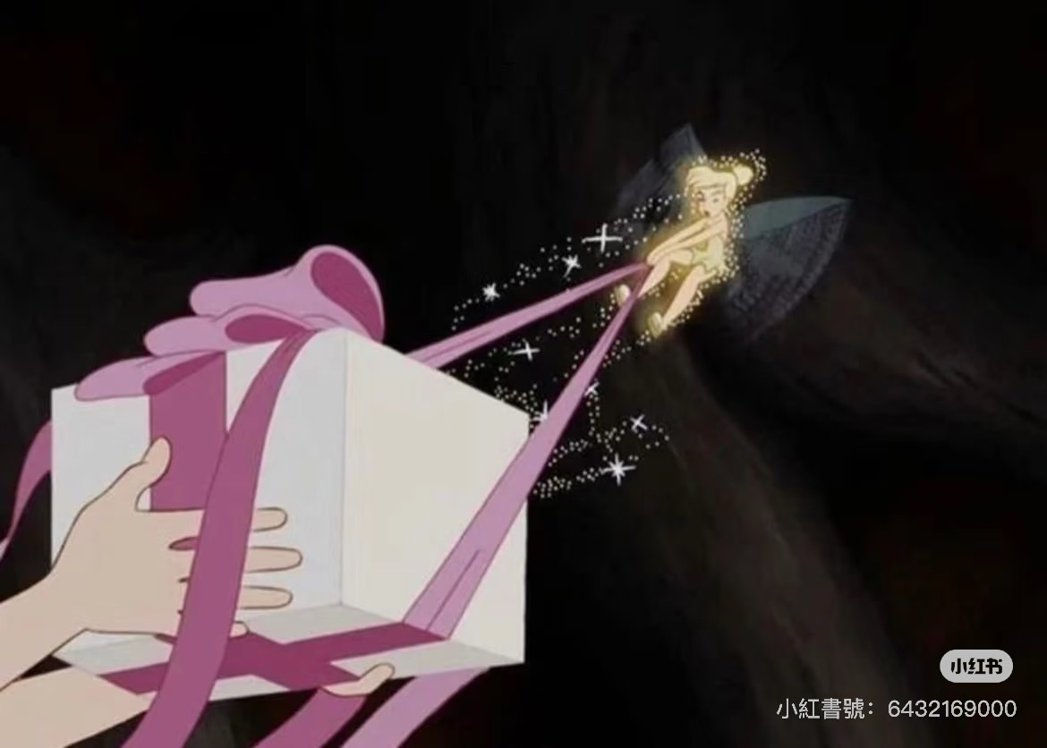 dear（全現貨）