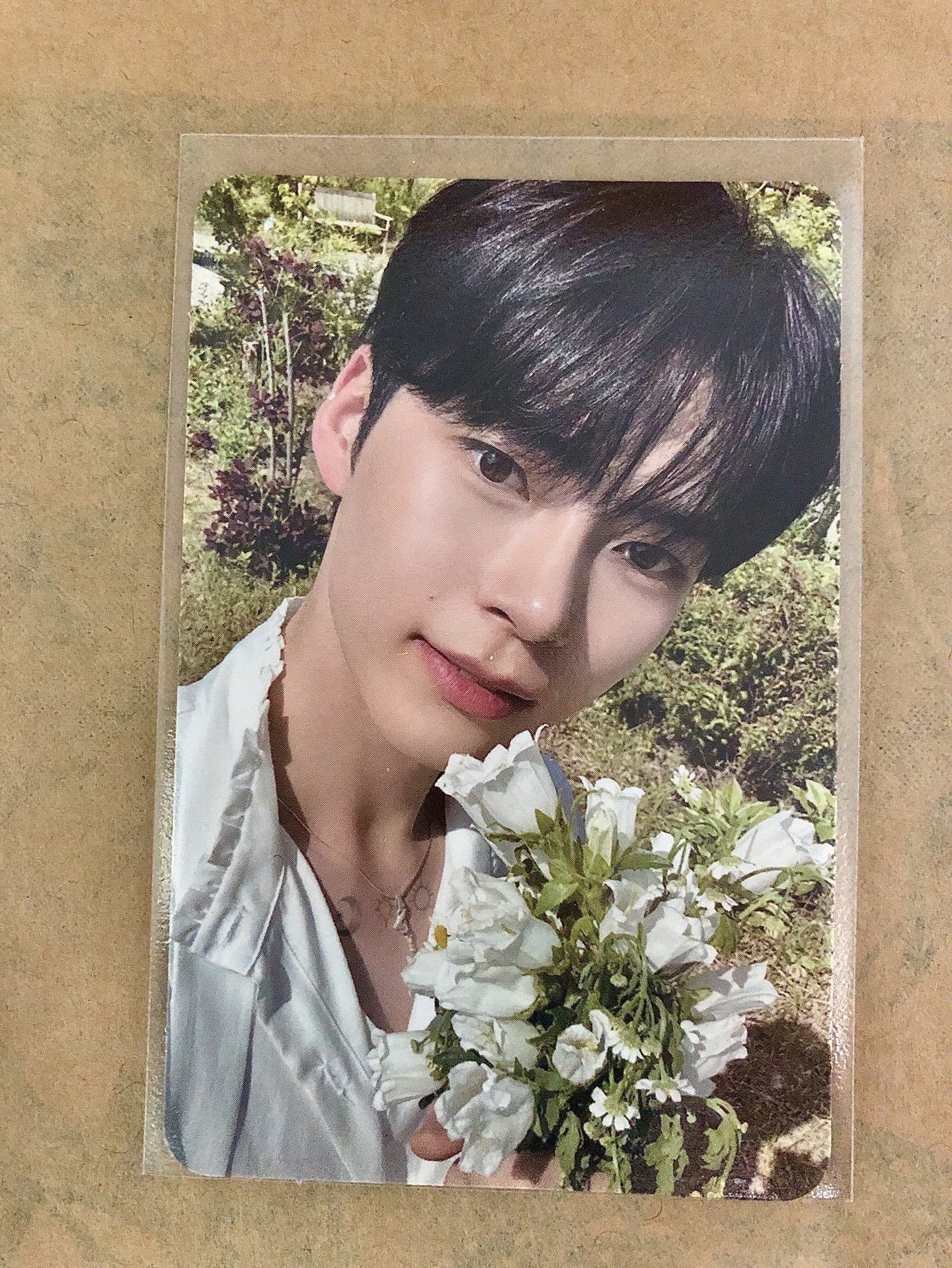 ZB1 成韓彬｜迷一專卡 SHADE ver.