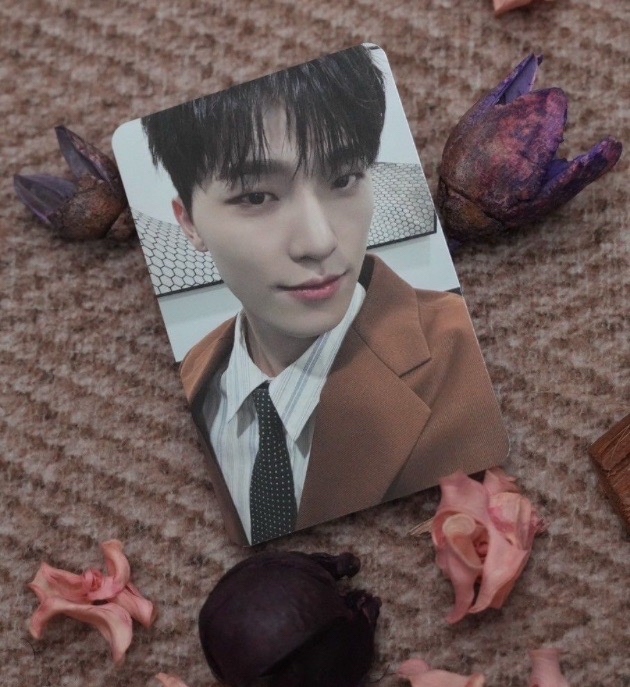 minil2克拉盤 隨機卡-燦