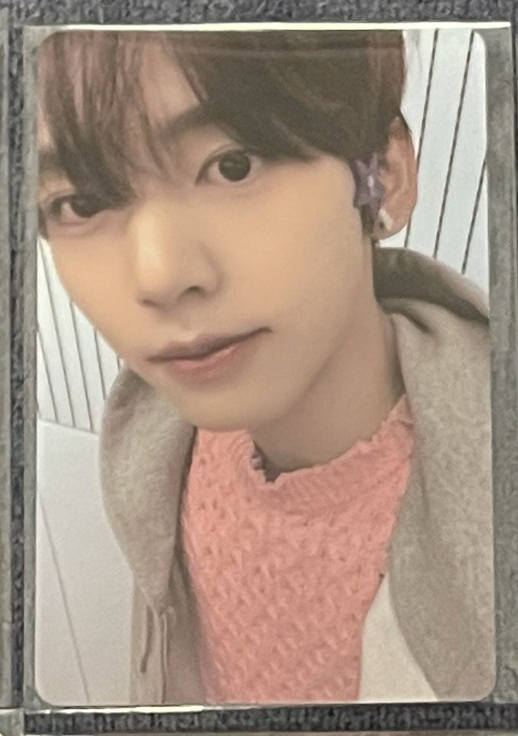 維辰（需多帶雄/修）