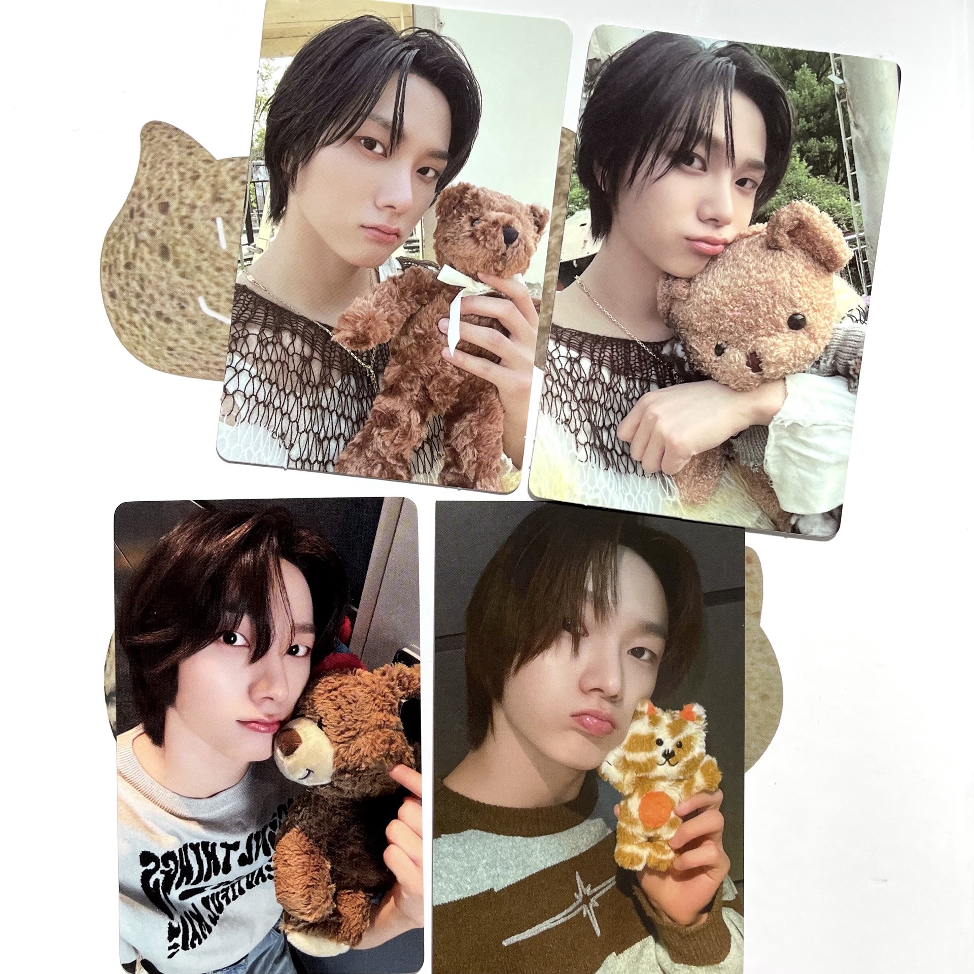 朴成淏 target/yzy/專輯卡抱熊 娃卡