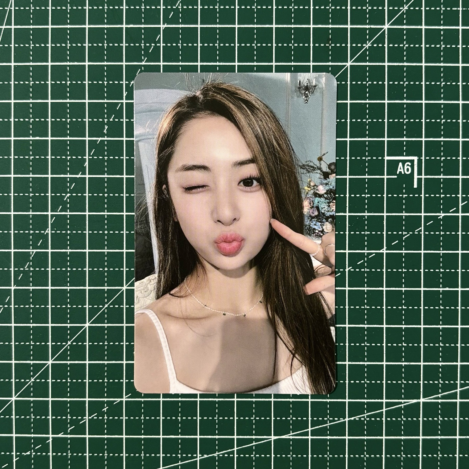 𓊆 無畏專輯卡 🐶𓊇