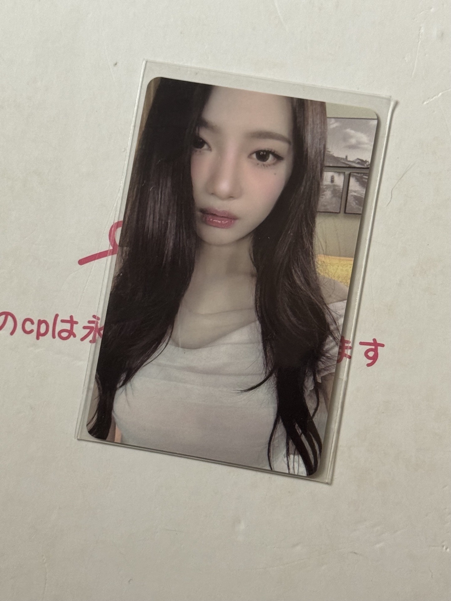 ❗️Kms上海簽售寧