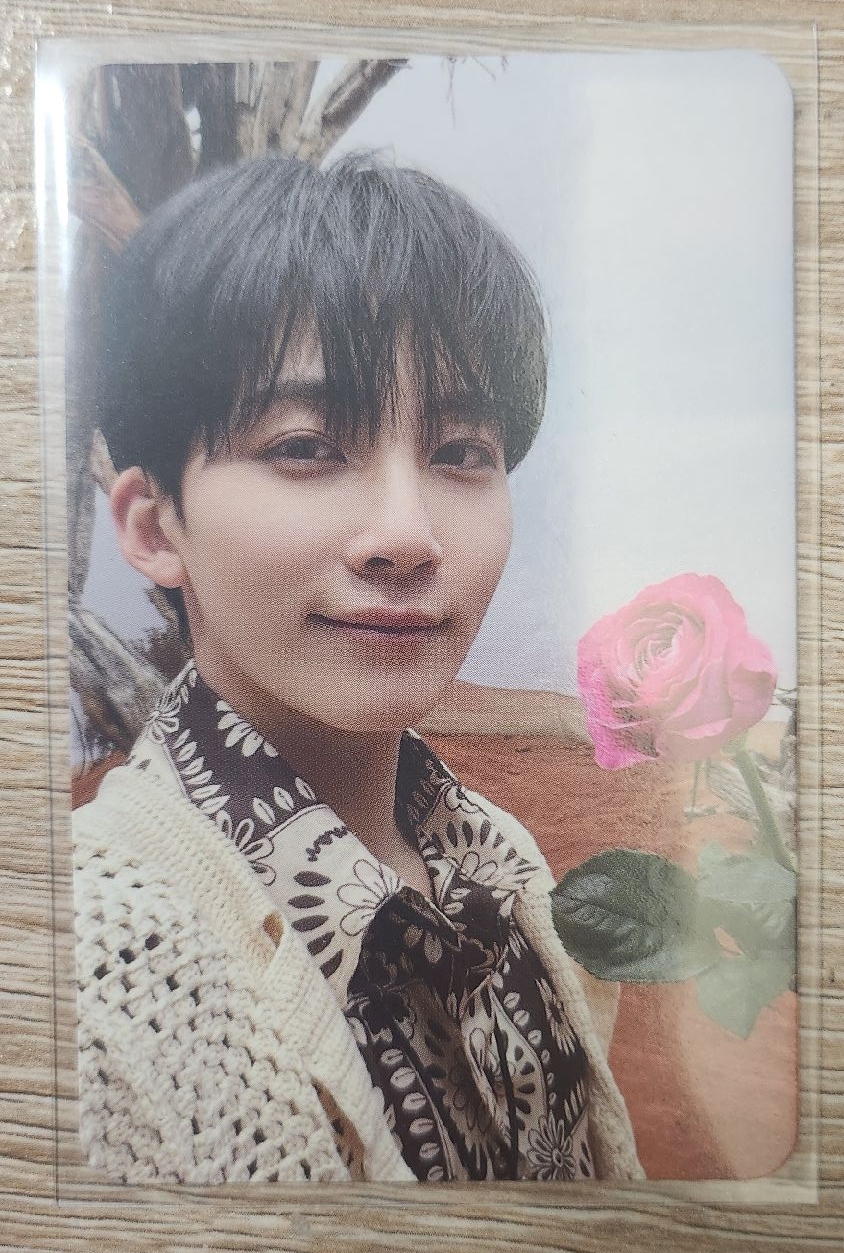 正四 尹淨漢 玫瑰漢