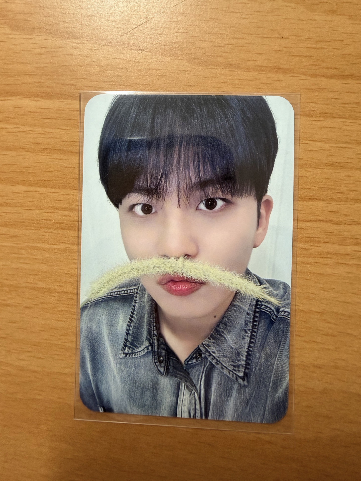 GH3 dmm 特典卡 狗尾草ver.