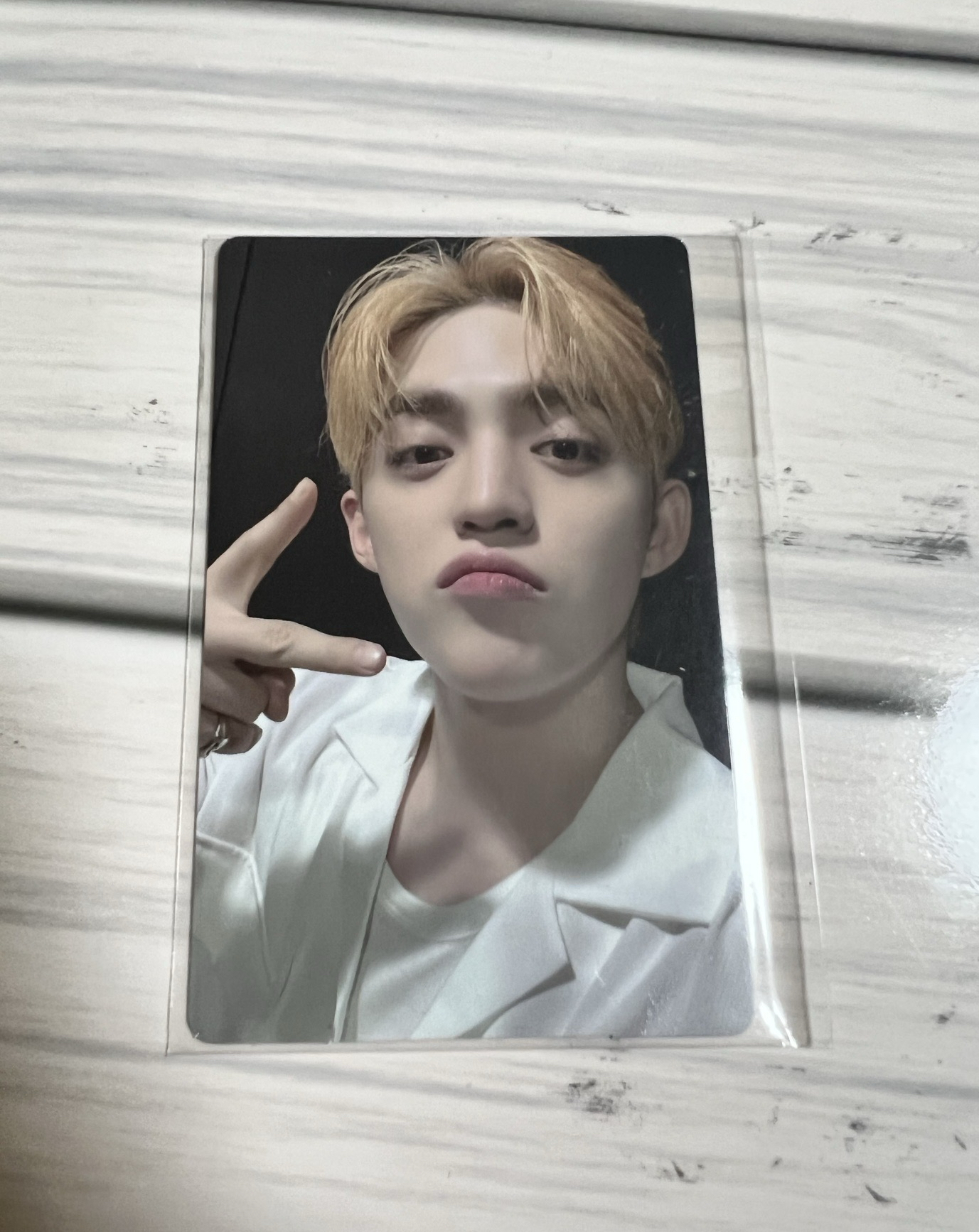 迷12 wvs 特典卡 S.coups