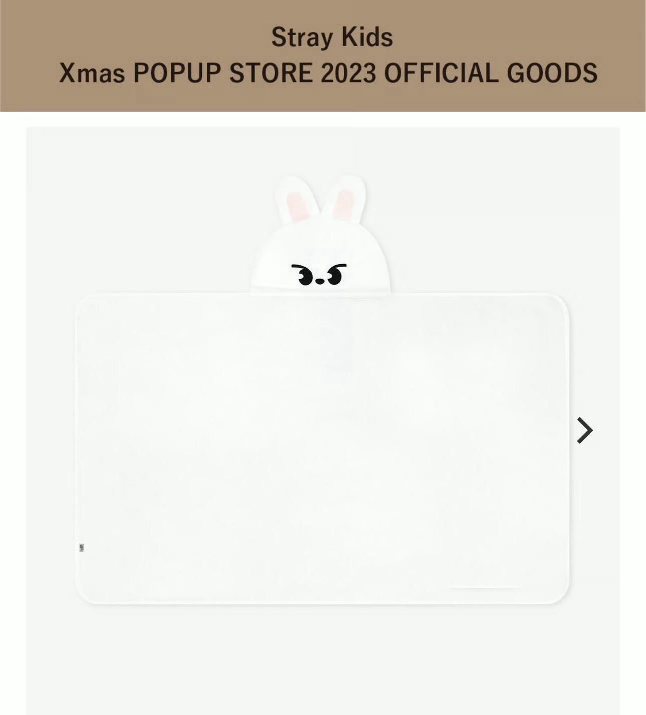 SKZ 聖誕澀谷毛毯旻