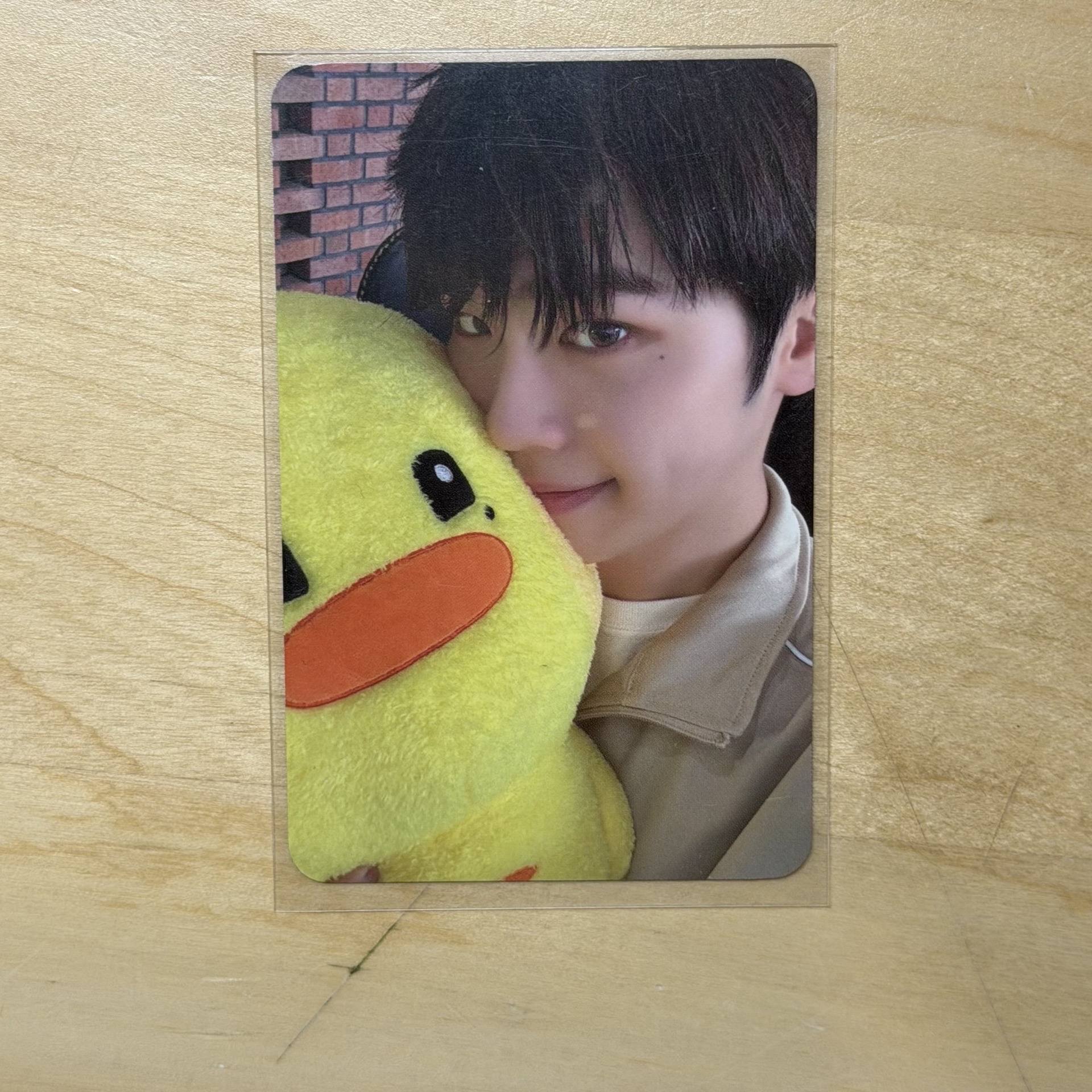 zb1金泰來kkt zeroni特典