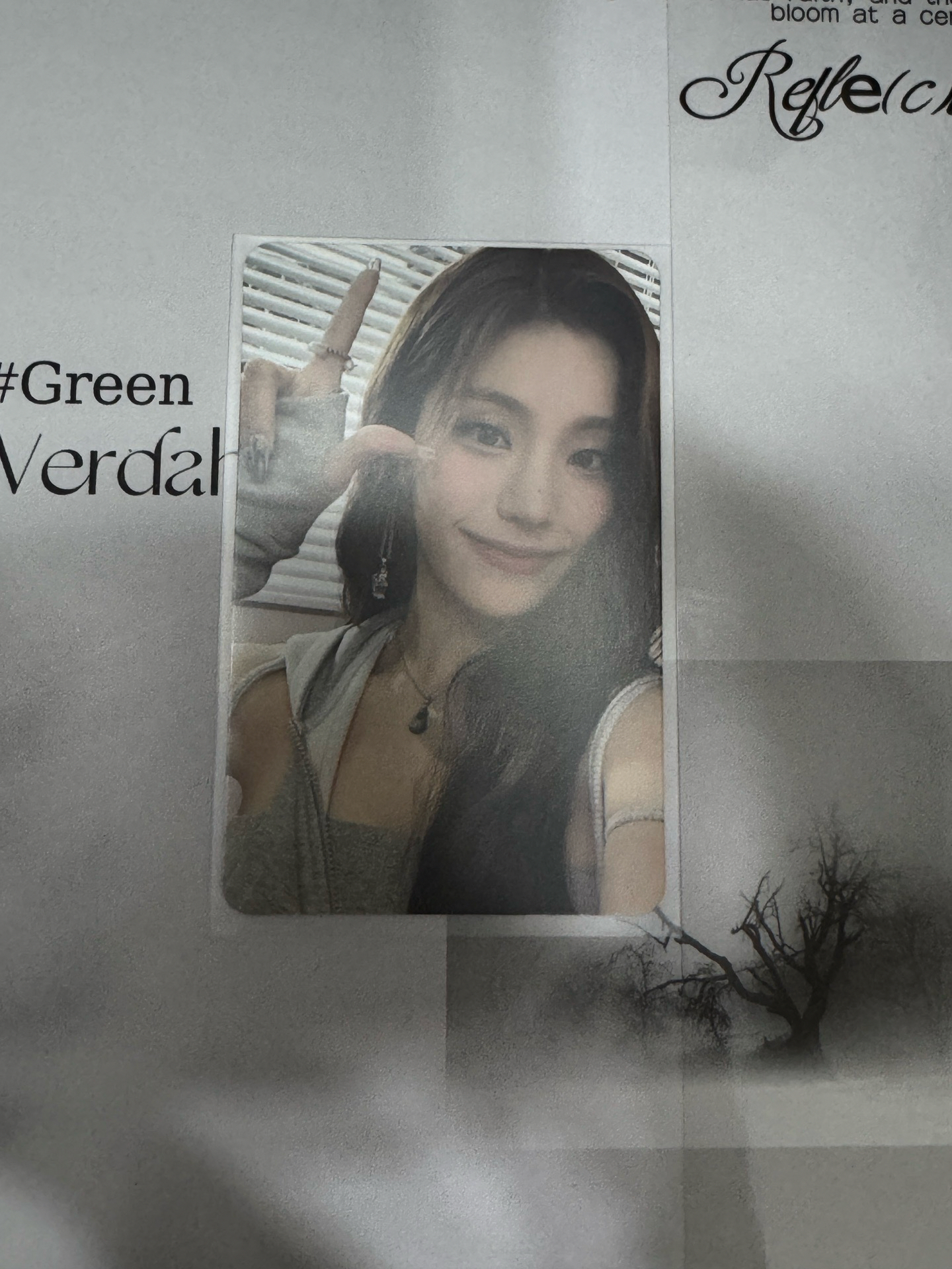 CHESHIRE 専輯卡限量版-禮志