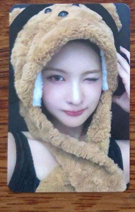 律動小熊裴 綁小熊莉