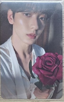 迷六 專輯卡 Romantic版彬