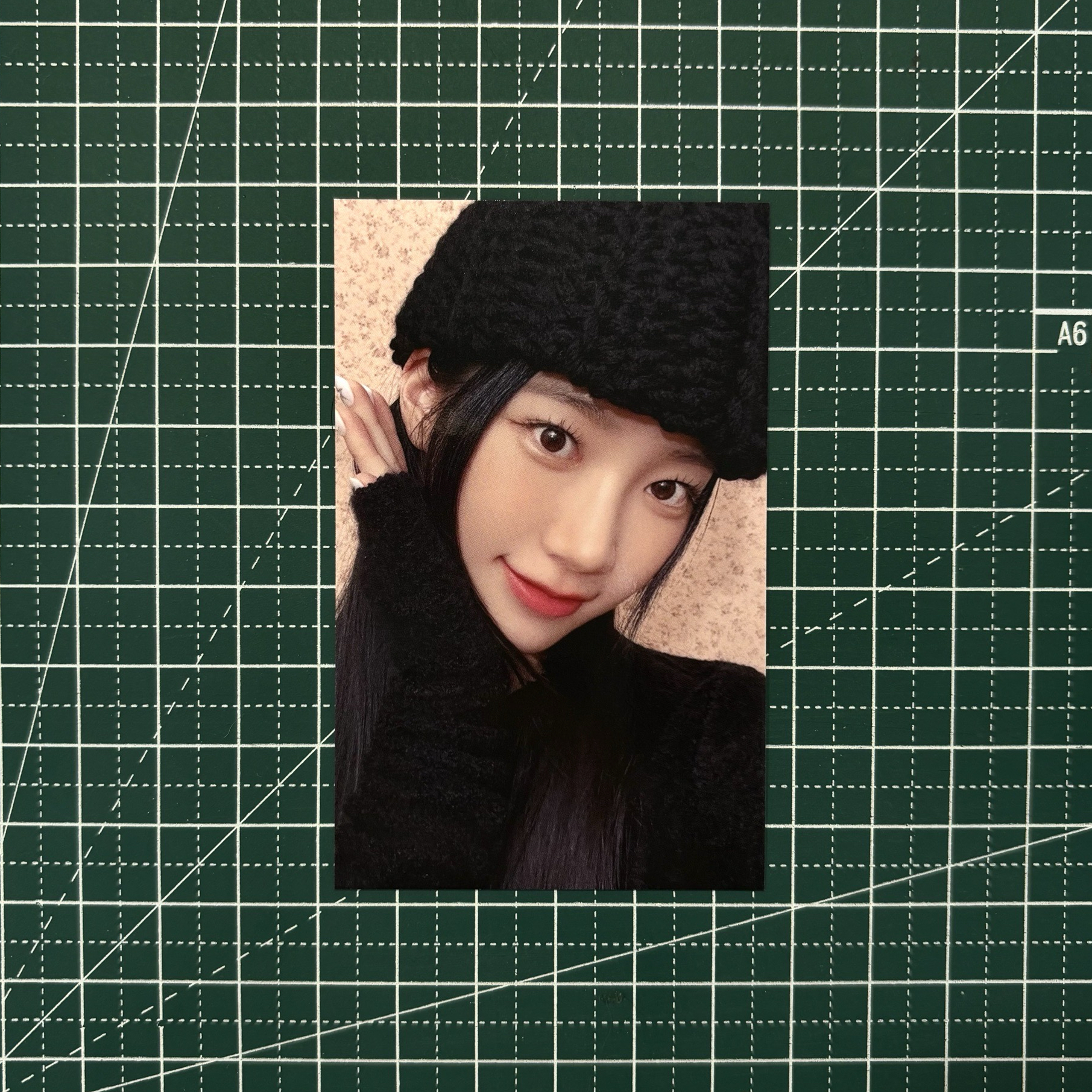 𓊆 日咖幸運卡葉 𓊇
