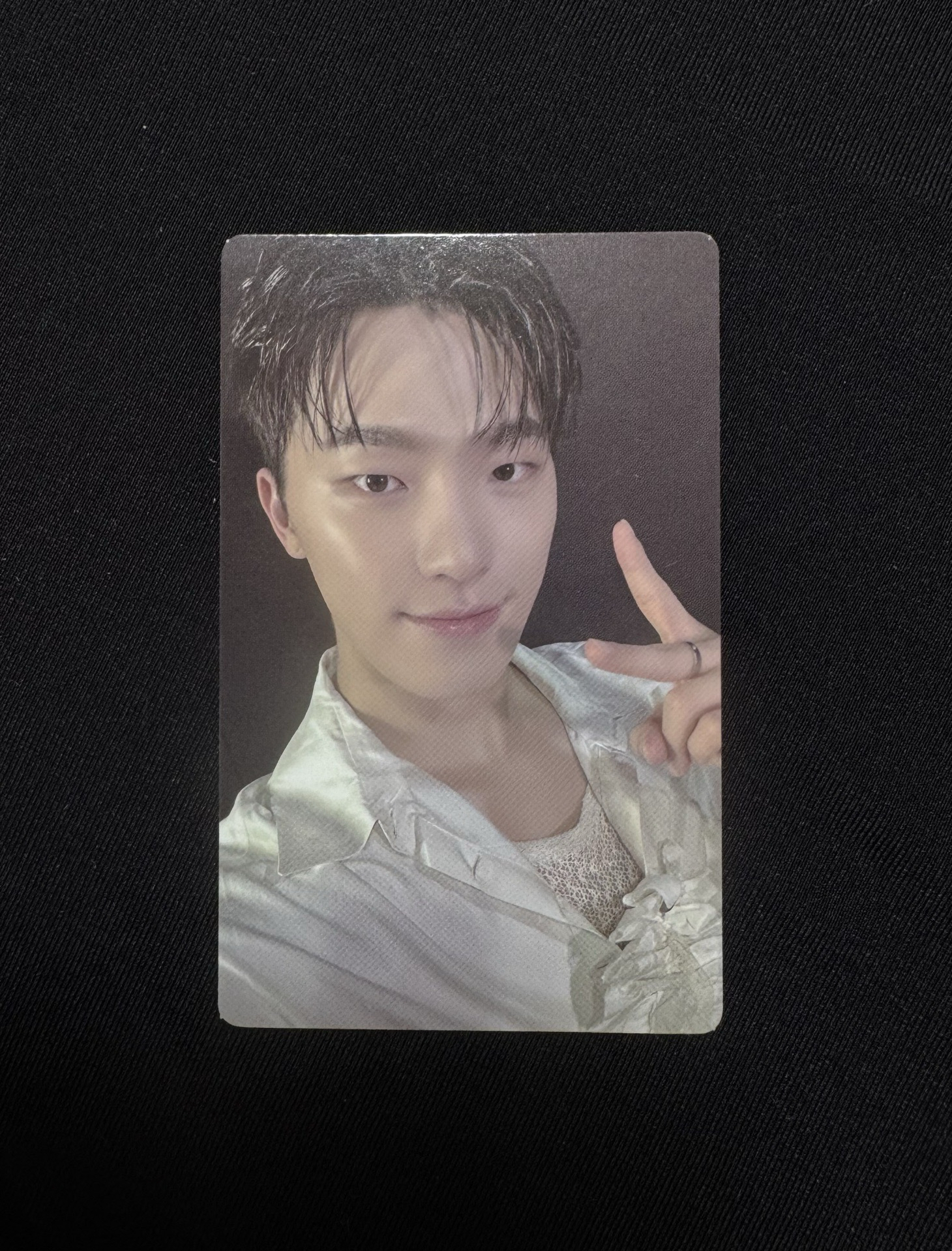 迷你12 WVS 特典卡 燦