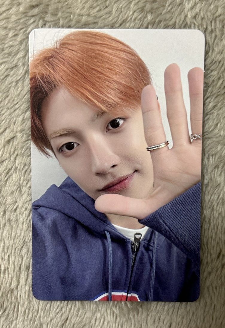 萌袖橘毛鼠（需依內文多帶）