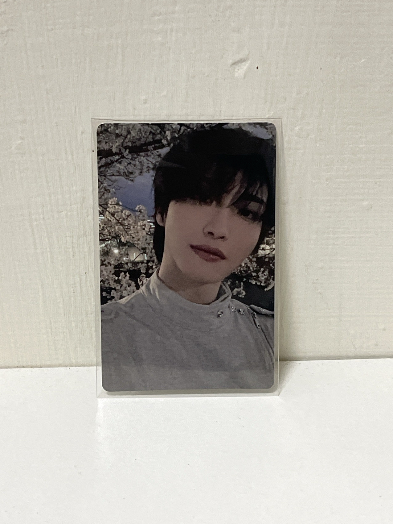 🖤朴星化 In Your Fantasy 專輯卡 POCA BLACK ver.