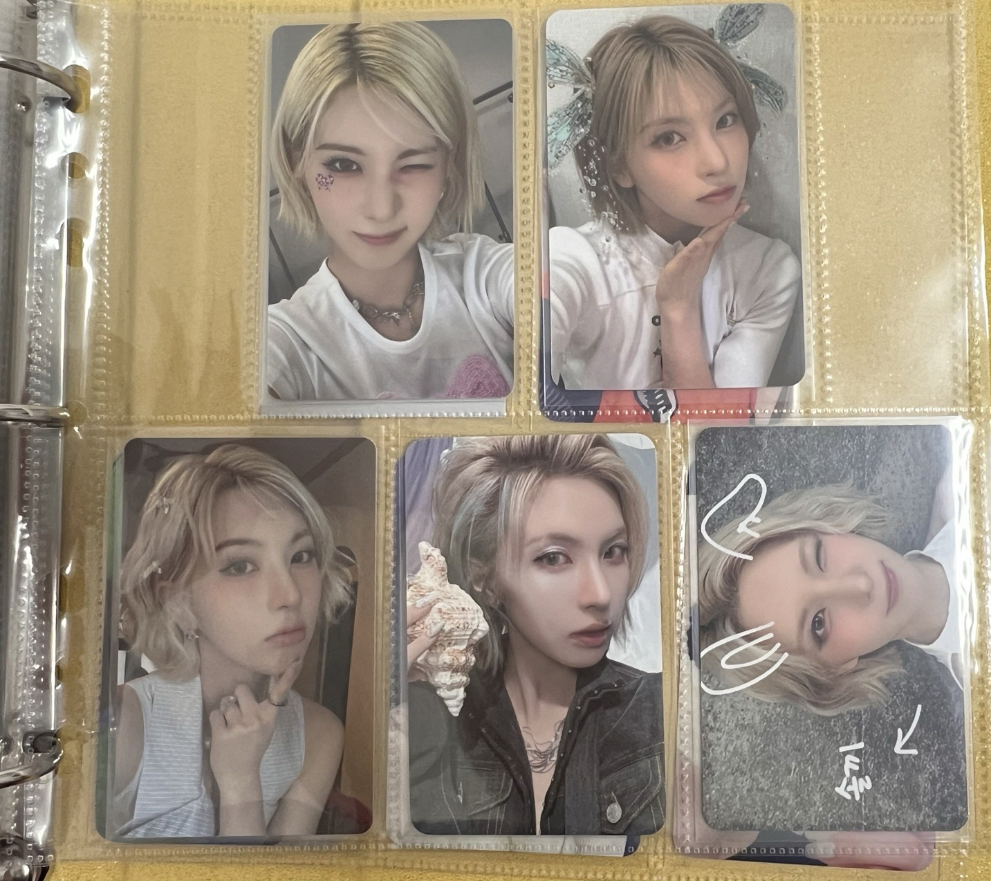 裴盤