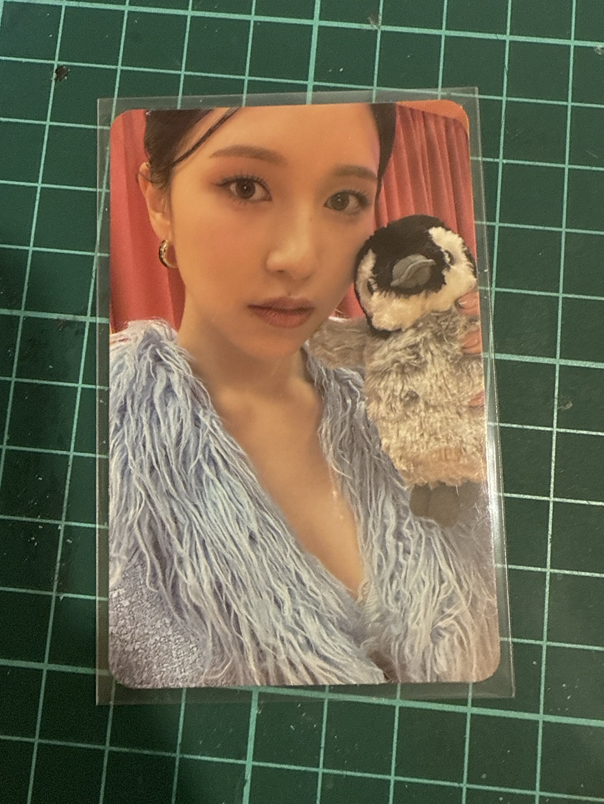 企鵝mina