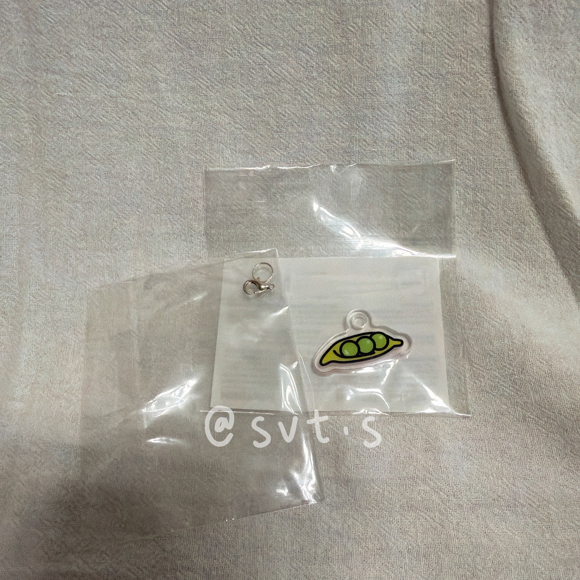 全新未拆 高雄快閃店購入 miniteen 鑰匙圈吊飾 李知勳 豌豆