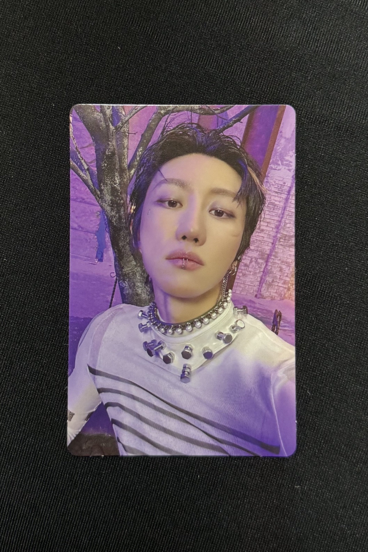 svt 正規五 wvs 特典卡/專卡